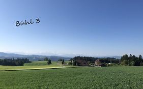Buehl 3